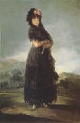 Francisco de Goya Portrait of Mariana Waldstein (mk05) oil painting